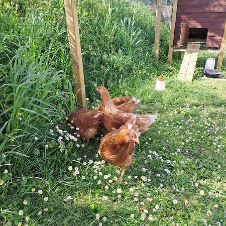 Dory's Arquata Scrivia