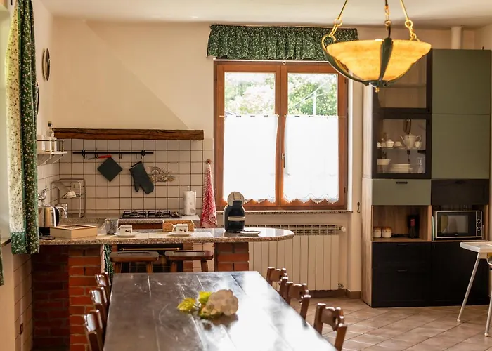 Dory's 아르쿠아타 스크리비아