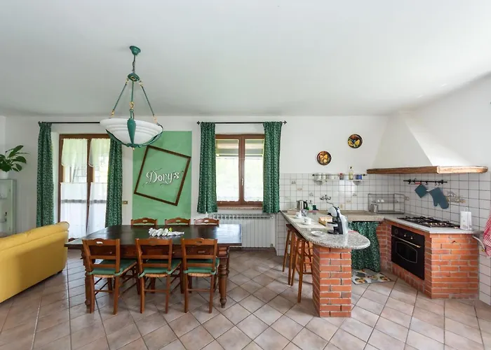 Dory's 아르쿠아타 스크리비아