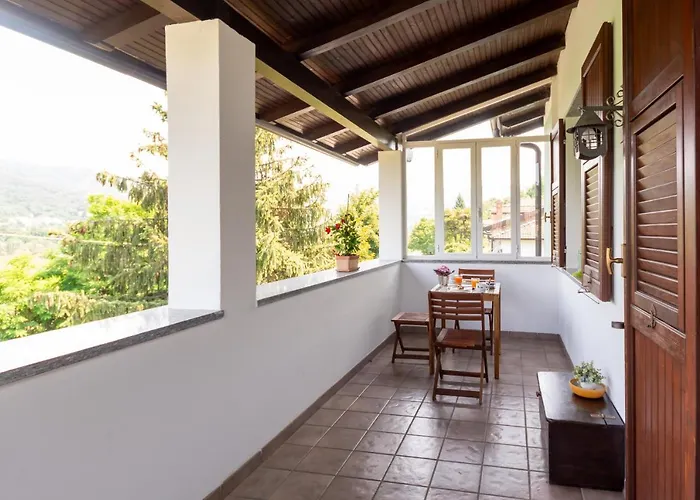 Dory's * 아르쿠아타 스크리비아