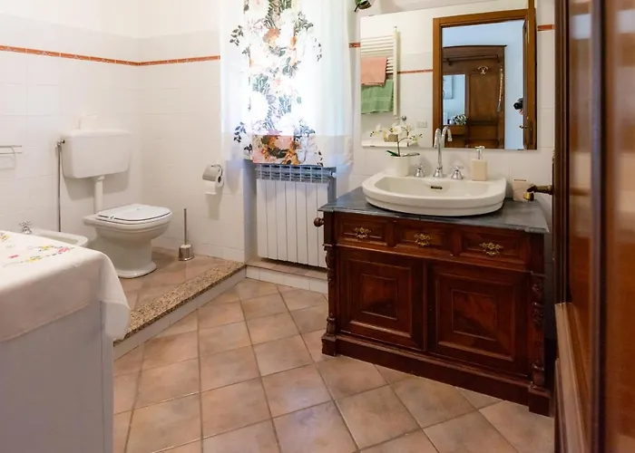 Dory's 아르쿠아타 스크리비아