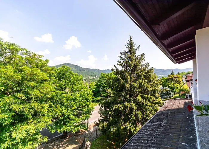 Dory's * 아르쿠아타 스크리비아