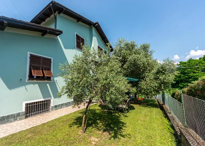 Dory's 아르쿠아타 스크리비아